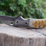 Handmade Damascus Steel Pocket Knife with Lamb Horn Handle. Pro-Vigoroso1472