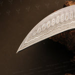 Handmade Damascus steel Karambit Knife with Dollar Sheet Handle. Pro-Netto1540