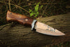 Handmade Copper Damascus Steel Camping Skinner with Gut Hook and Wood Handle. Pro-Tenace1602